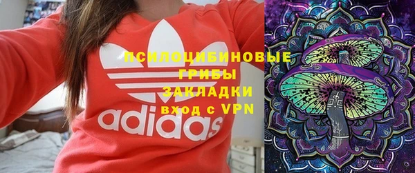 PSILOCYBIN Балабаново