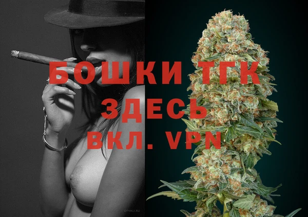 ГАЛЛЮЦИНОГЕННЫЕ ГРИБЫ Пересвет