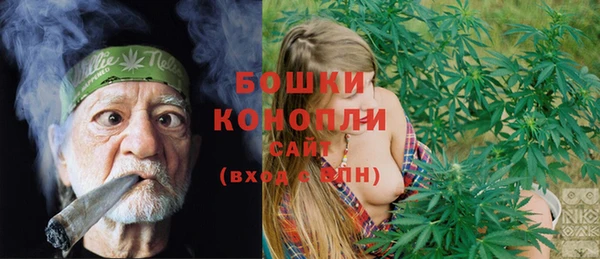 ГАЛЛЮЦИНОГЕННЫЕ ГРИБЫ Пересвет