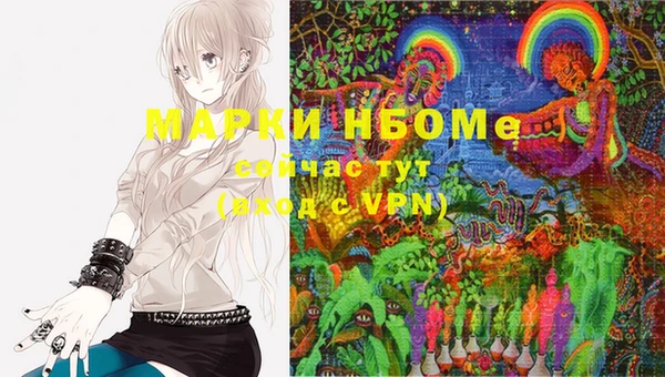 PSILOCYBIN Балабаново