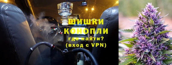 PSILOCYBIN Балабаново